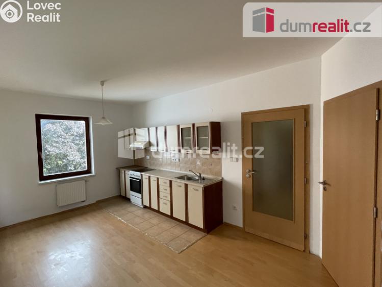 Rent apartment 2+1 Opava, Kolofíkovo nábřeží č. 1