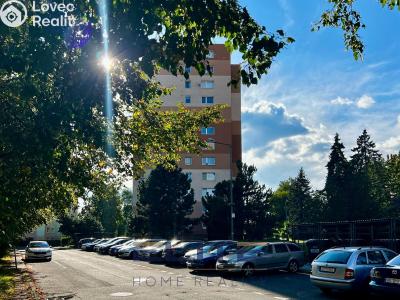 Rent apartment 1+1 Liberec, Letná č. 21