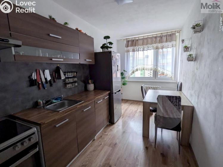 Pronájem bytu 3+1 Krupka, Dukelských hrdinů 279 č. 6