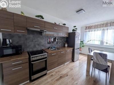 Pronájem bytu 3+1 Krupka, Dukelských hrdinů 279 č. 5