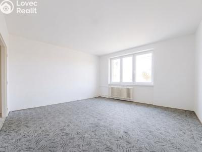 Prodej bytu 1+1 Kopřivnice, Družební č. 1