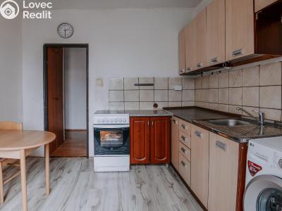 Prodej bytu 1+1 Kopřivnice, Družební č. 6