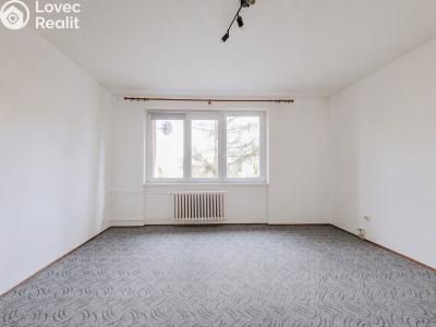 Prodej bytu 1+1 Kopřivnice, Družební č. 13