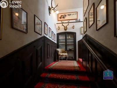 Sale family house Bor č. 21