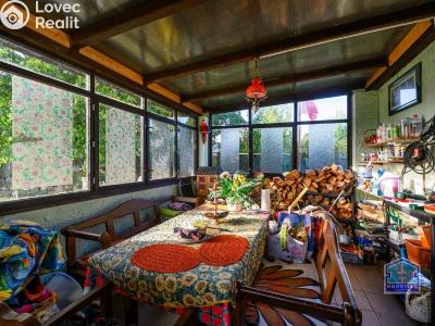 Sale family house Bor č. 33