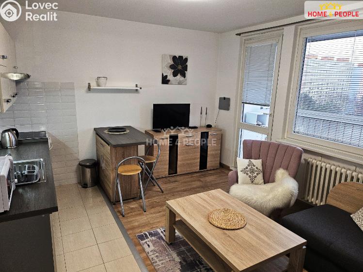 Rent apartment 1+KK Praha 8, Svídnická č. 10