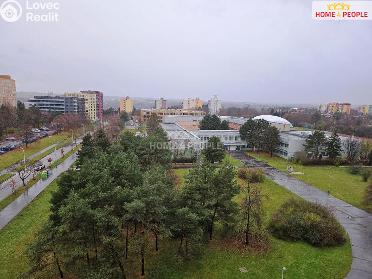 Rent apartment 1+KK Praha 8, Svídnická č. 19