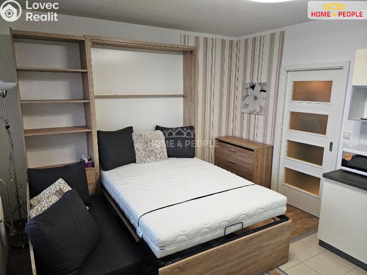 Rent apartment 1+KK Praha 8, Svídnická č. 6