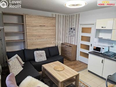 Rent apartment 1+KK Praha 8, Svídnická č. 2