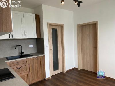 Оренда квартири 1+1 Plzeň, Žlutická č. 4