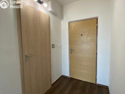 Оренда квартири 1+1 Plzeň, Žlutická č. 8