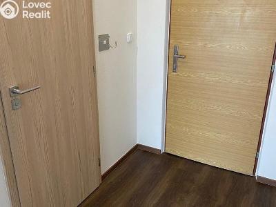 Оренда квартири 1+1 Plzeň, Žlutická č. 9
