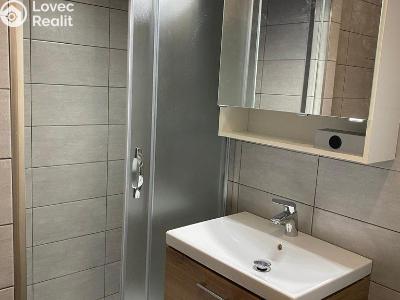 Оренда квартири 1+1 Plzeň, Žlutická č. 14