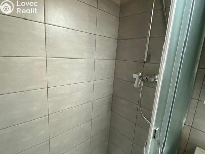 Оренда квартири 1+1 Plzeň, Žlutická č. 15