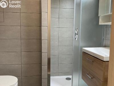 Оренда квартири 1+1 Plzeň, Žlutická č. 16