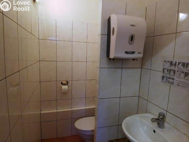 Pronájem restaurace Stříbro, Masarykovo náměstí 61 č. 24