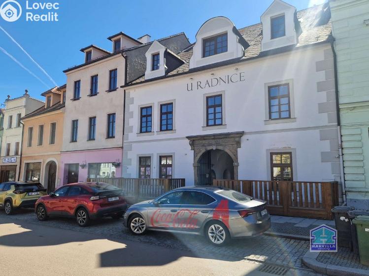 Pronájem restaurace Stříbro, Masarykovo náměstí 61 č. 31