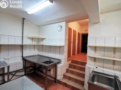 Pronájem restaurace Stříbro, Masarykovo náměstí 61 č. 19