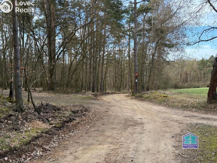 Prodej chaty Čerňovice č. 27
