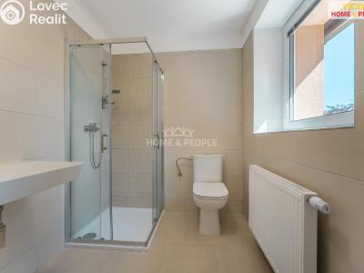 Продаж сімейного будинку Zakřany č. 17