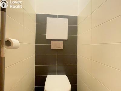 Аренда квартиры 3+KK Praha, Trnavská č. 14