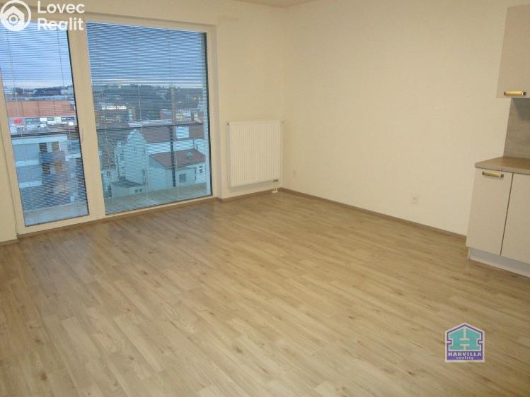 Pronájem bytu 1+KK Plzeň, Poděbradova 3054/16 č. 3