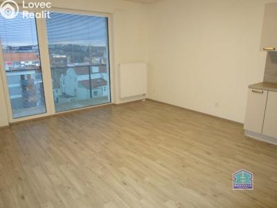 Pronájem bytu 1+KK Plzeň, Poděbradova č. 3