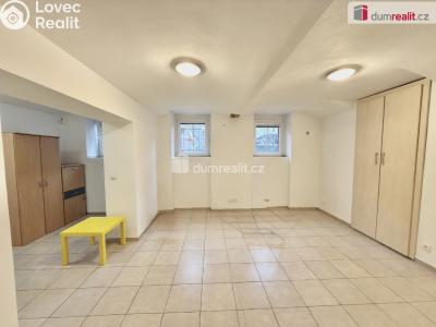 Pronájem bytu 3+KK Ústí nad Labem, Elišky Krásnohorské č. 6