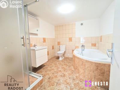 Pronájem bytu 2+1 Tursko, Ke Statkům 16 č. 7