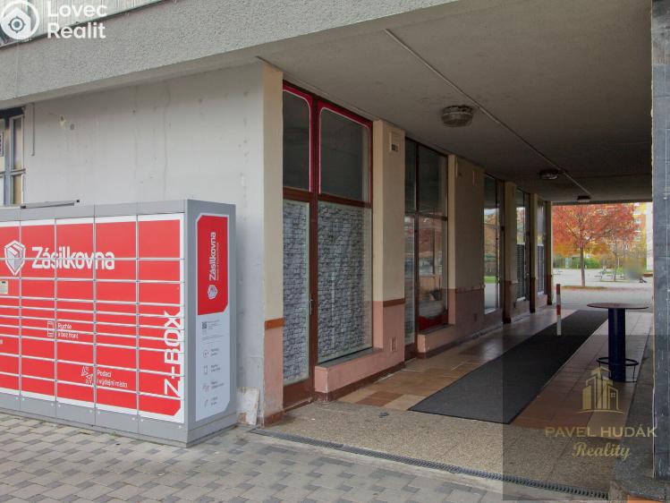 Pronájem obchodního prostoru Plzeň, Karla Steinera 930/15 č. 5