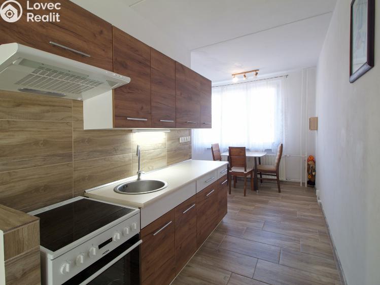 Rent apartment 2+1 Kraslice, B. Smetany 1754 č. 2
