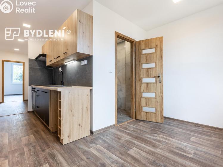 Pronájem bytu 3+1 Teplice, Jugoslávská 2528 č. 8