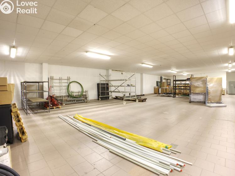 Pronájem skladového prostoru Plzeň, Klatovská 506/175 č. 3