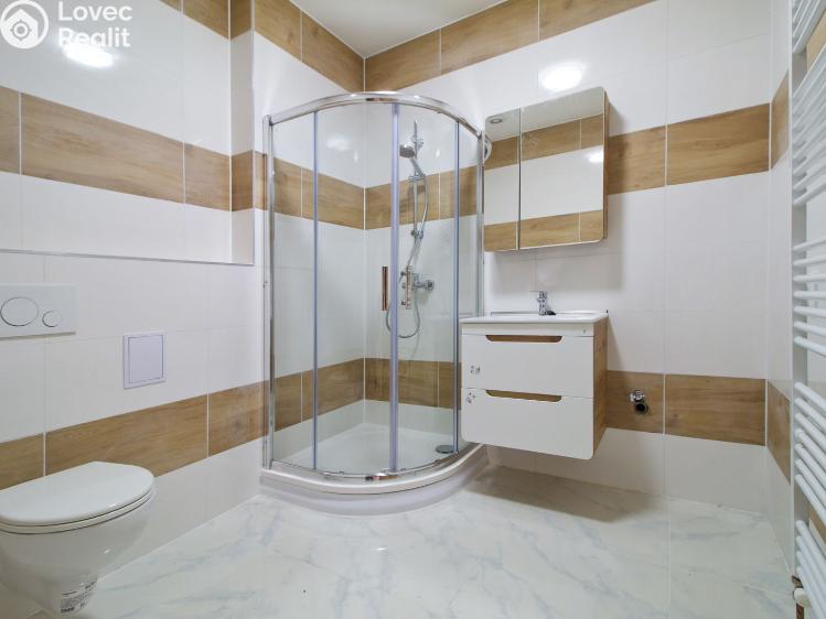 Rent apartment 2+1 Líně, Plzeňská 156 č. 2