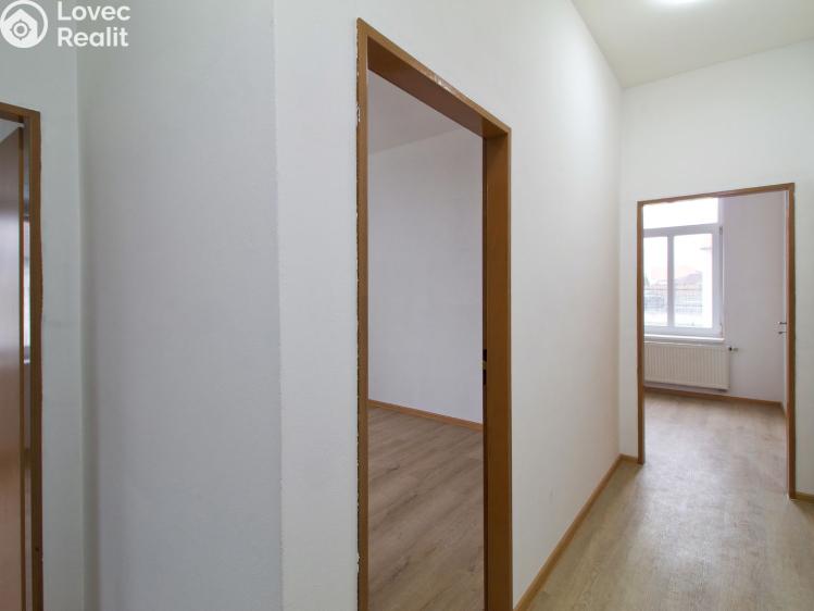 Rent apartment 2+1 Líně, Plzeňská 156 č. 12