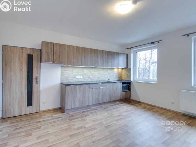 Pronájem bytu 1+KK Brandýs nad Labem-Stará Boleslav, Boleslavská č. 4