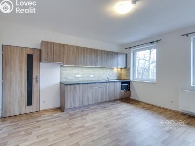 Pronájem bytu 1+KK Brandýs nad Labem-Stará Boleslav, Boleslavská č. 4