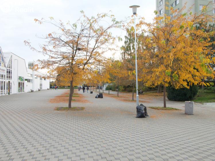 Pronájem obchodního prostoru Plzeň, Karla Steinera 930/15 č. 7