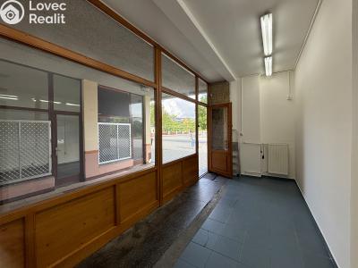Pronájem obchodního prostoru Plzeň, Karla Steinera č. 3