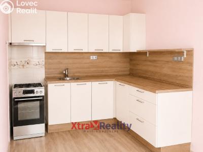 Sale apartment 3+1 Teplice, Trnovanská č. 5