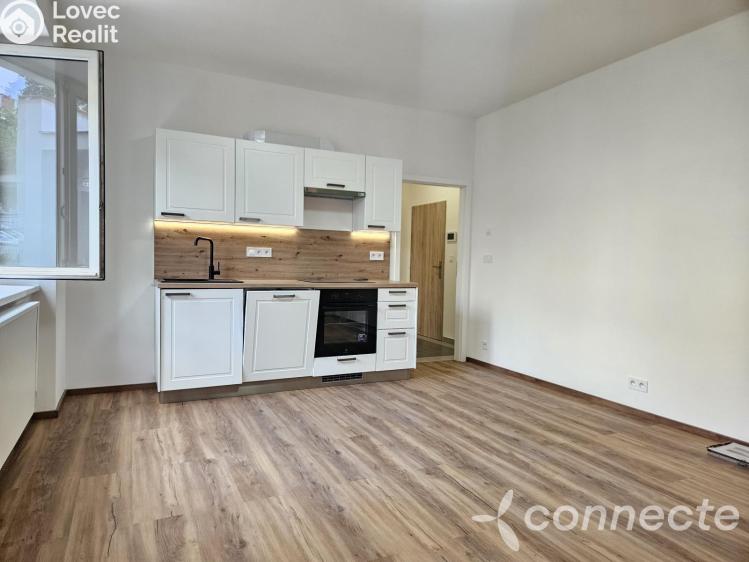 Оренда квартири 1+KK Praha, U družstva Ideál 1133/23 č. 1
