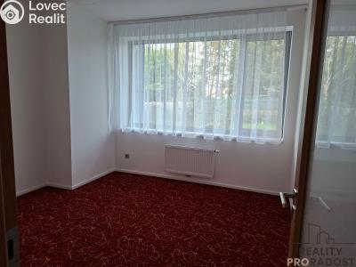 Pronájem bytu 4+KK Velvary, Dřevařská 838 č. 5