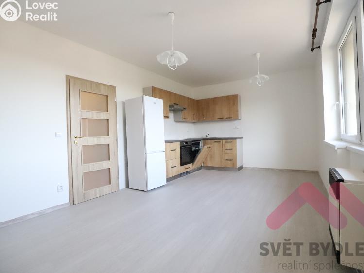 Pronájem bytu 1+KK Praha, Aloisovská 858/29 č. 3