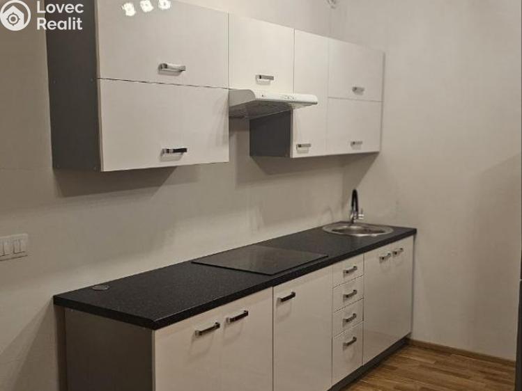 Pronájem bytu 1+KK Praha, Breitfeldova č. 1