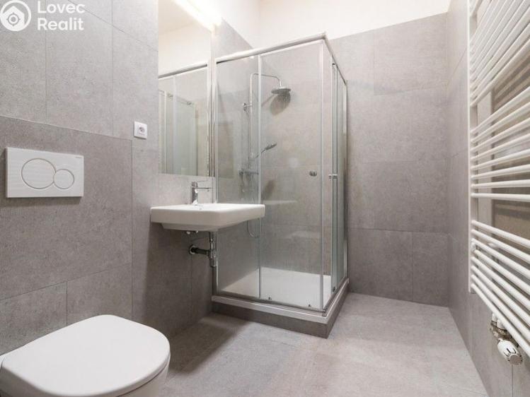 Rent apartment 2+1 Praha č. 11