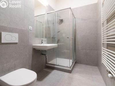 Rent apartment 2+1 Praha, Sokolovská č. 10