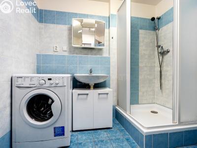 Оренда квартири 1+KK Praha, Herlíkovická č. 6