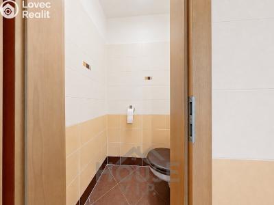 Sale apartment 1+KK Praha, Na Výrovně č. 19