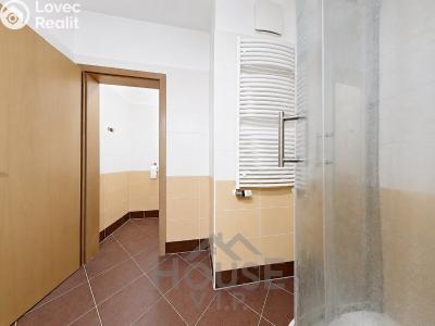 Sale apartment 1+KK Praha, Na Výrovně č. 19