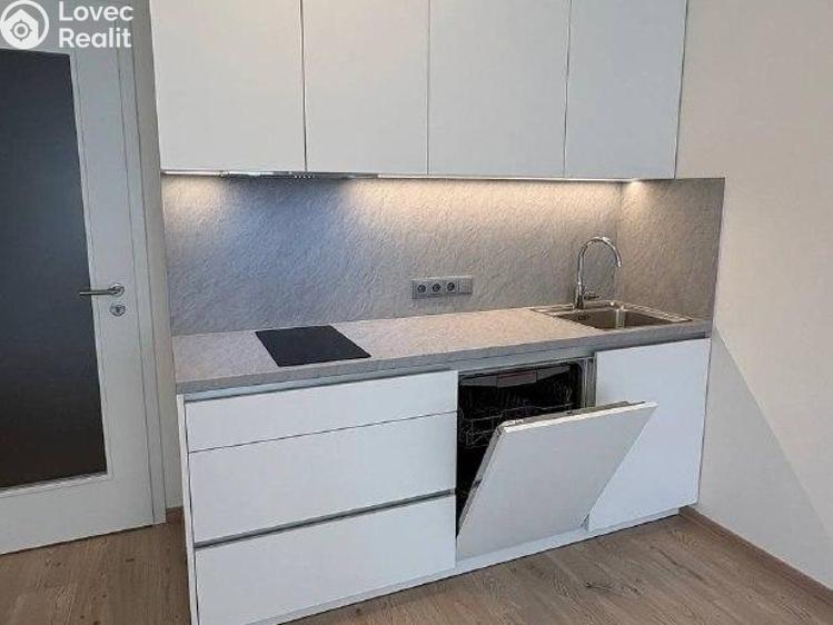 Аренда квартиры 1+KK Praha 9, Vysočany, Poděbradská 1067/7 č. 2